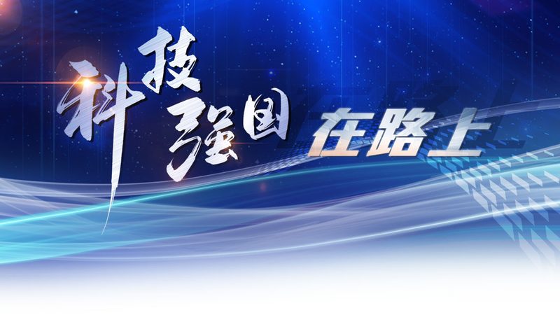 容器编排网络配置：性能测试的关键要点