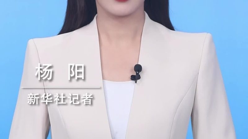 数据中台与数据服务：如何选择更适合的解决方案